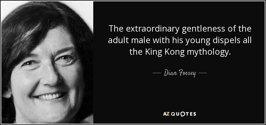The extraordinary gentleness of the adult male with his young dispels all the King Kong mythology. - Dian Fossey