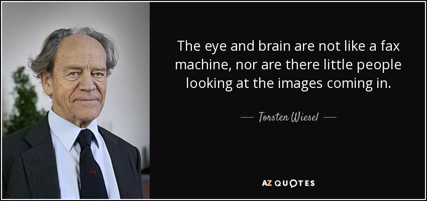 The eye and brain are not like a fax machine, nor are there little people looking at the images coming in. - Torsten Wiesel