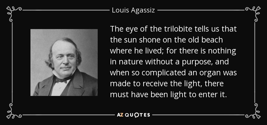 The eye of the trilobite tells us that the sun shone on the old beach where he lived; for there is nothing in nature without a purpose, and when so complicated an organ was made to receive the light, there must have been light to enter it. - Louis Agassiz