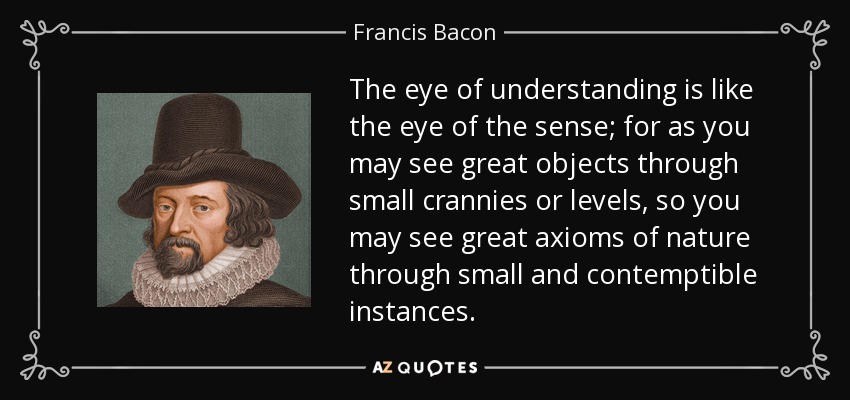 The eye of understanding is like the eye of the sense; for as you may see great objects through small crannies or levels, so you may see great axioms of nature through small and contemptible instances. - Francis Bacon