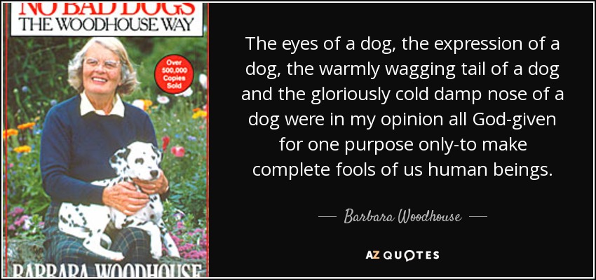The eyes of a dog, the expression of a dog, the warmly wagging tail of a dog and the gloriously cold damp nose of a dog were in my opinion all God-given for one purpose only-to make complete fools of us human beings. - Barbara Woodhouse