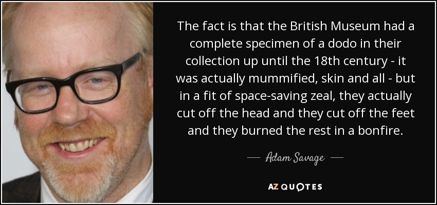 The fact is that the British Museum had a complete specimen of a dodo in their collection up until the 18th century - it was actually mummified, skin and all - but in a fit of space-saving zeal, they actually cut off the head and they cut off the feet and they burned the rest in a bonfire. - Adam Savage