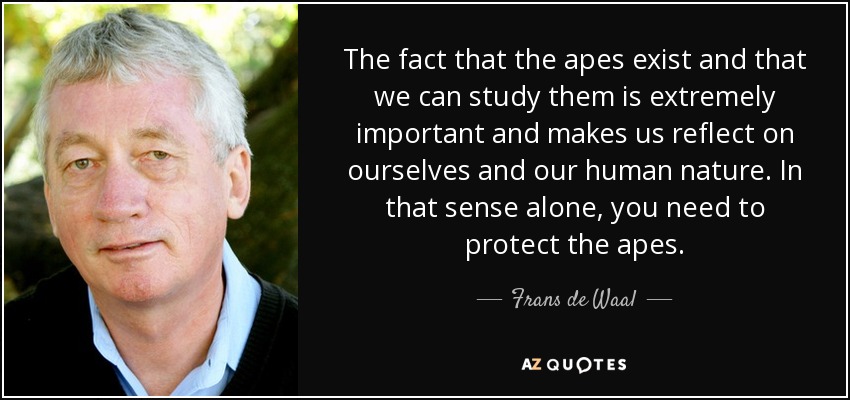The fact that the apes exist and that we can study them is extremely important and makes us reflect on ourselves and our human nature. In that sense alone, you need to protect the apes. - Frans de Waal