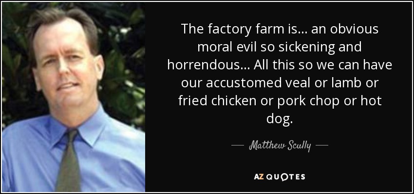 The factory farm is . . . an obvious moral evil so sickening and horrendous. . . All this so we can have our accustomed veal or lamb or fried chicken or pork chop or hot dog. - Matthew Scully