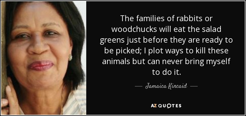 The families of rabbits or woodchucks will eat the salad greens just before they are ready to be picked; I plot ways to kill these animals but can never bring myself to do it. - Jamaica Kincaid