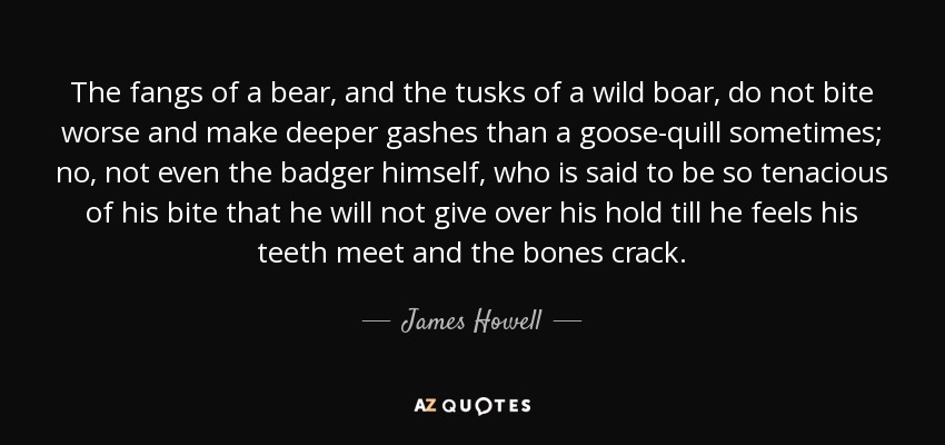 The fangs of a bear, and the tusks of a wild boar, do not bite worse and make deeper gashes than a goose-quill sometimes; no, not even the badger himself, who is said to be so tenacious of his bite that he will not give over his hold till he feels his teeth meet and the bones crack. - James Howell