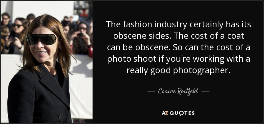 The fashion industry certainly has its obscene sides. The cost of a coat can be obscene. So can the cost of a photo shoot if you're working with a really good photographer. - Carine Roitfeld