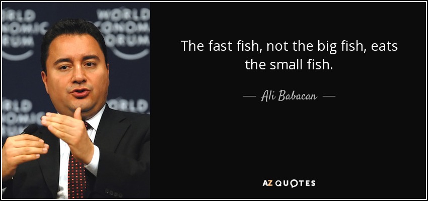 The fast fish, not the big fish, eats the small fish. - Ali Babacan
