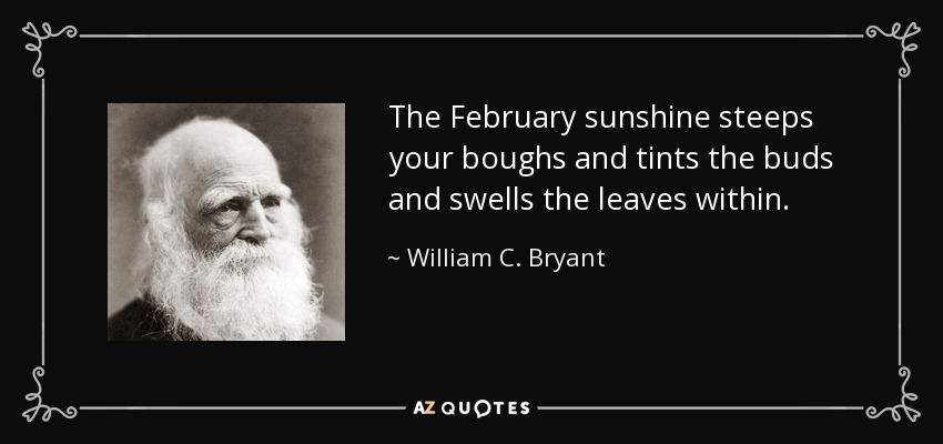 The February sunshine steeps your boughs and tints the buds and swells the leaves within. - William C. Bryant