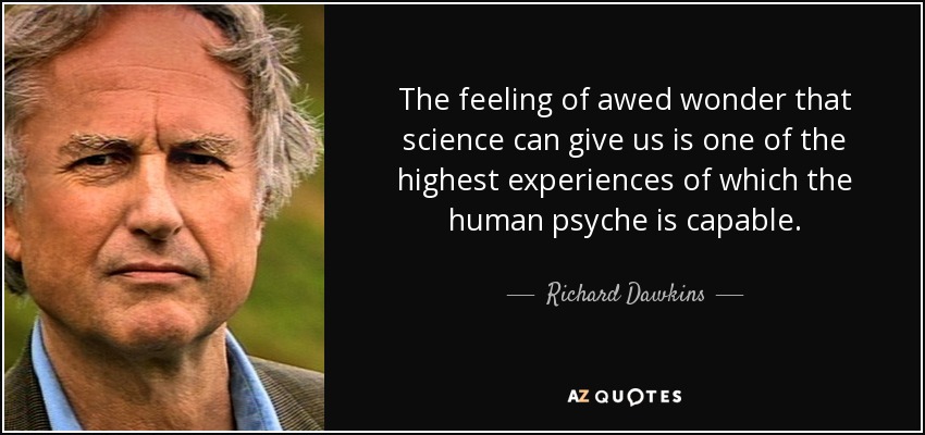 The feeling of awed wonder that science can give us is one of the highest experiences of which the human psyche is capable. - Richard Dawkins