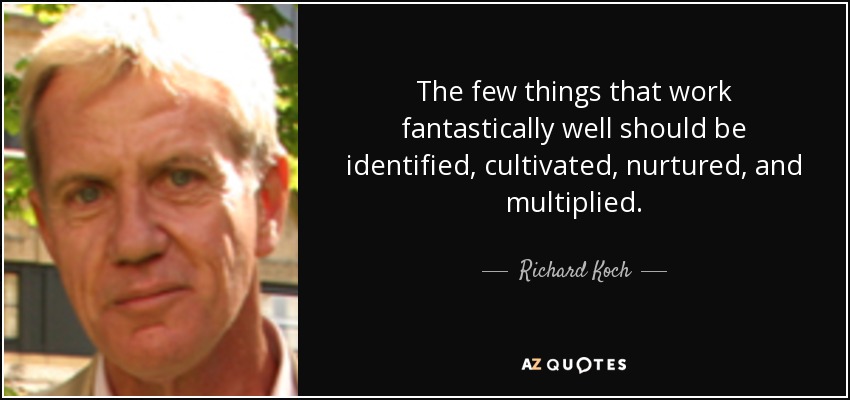 The few things that work fantastically well should be identified, cultivated, nurtured, and multiplied. - Richard Koch
