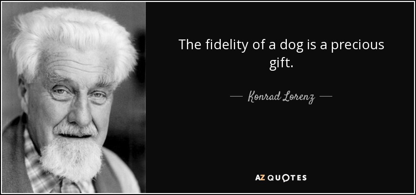 The fidelity of a dog is a precious gift. - Konrad Lorenz