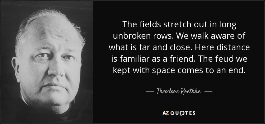 The fields stretch out in long unbroken rows. We walk aware of what is far and close. Here distance is familiar as a friend. The feud we kept with space comes to an end. - Theodore Roethke