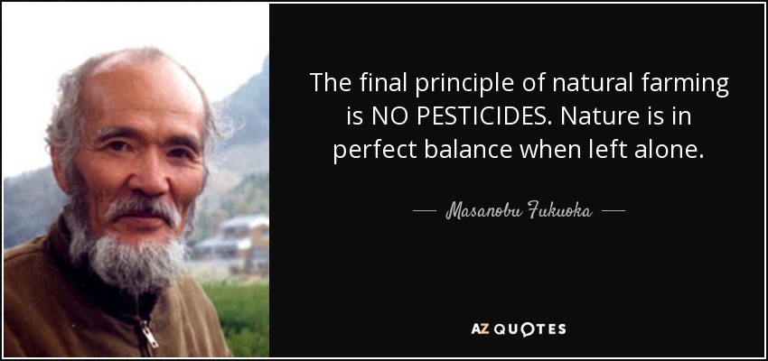 The final principle of natural farming is NO PESTICIDES. Nature is in perfect balance when left alone. - Masanobu Fukuoka