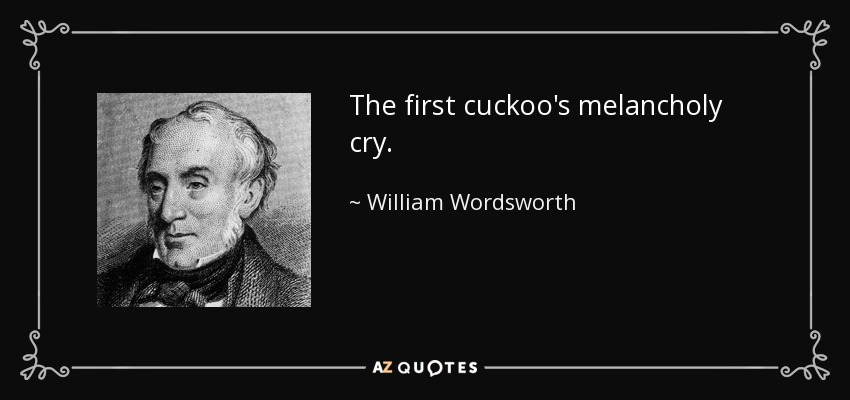 The first cuckoo's melancholy cry. - William Wordsworth
