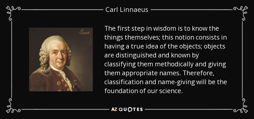The first step in wisdom is to know the things themselves; this notion consists in having a true idea of the objects; objects are distinguished and known by classifying them methodically and giving them appropriate names. Therefore, classification and name-giving will be the foundation of our science. - Carl Linnaeus