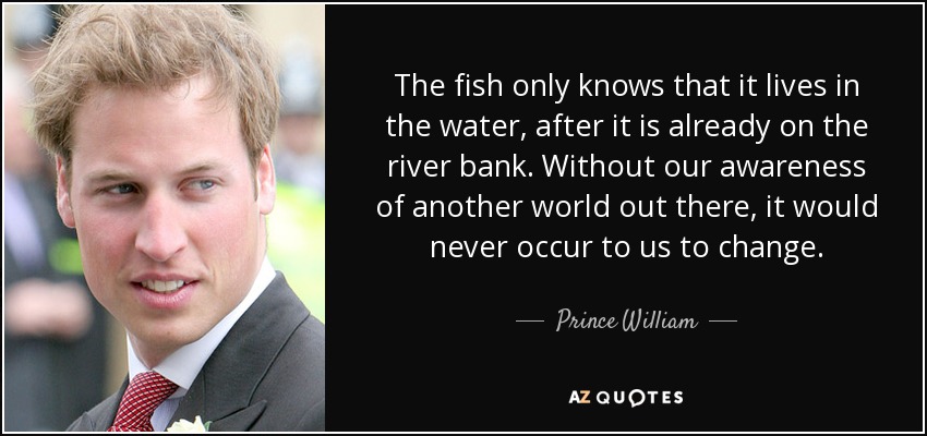 The fish only knows that it lives in the water, after it is already on the river bank. Without our awareness of another world out there, it would never occur to us to change. - Prince William