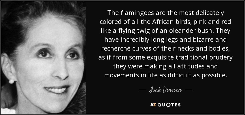 The flamingoes are the most delicately colored of all the African birds, pink and red like a flying twig of an oleander bush. They have incredibly long legs and bizarre and recherché curves of their necks and bodies, as if from some exquisite traditional prudery they were making all attitudes and movements in life as difficult as possible. - Isak Dinesen