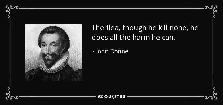 The flea, though he kill none, he does all the harm he can. - John Donne