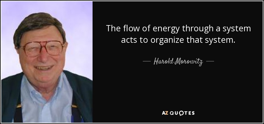 The flow of energy through a system acts to organize that system. - Harold Morowitz