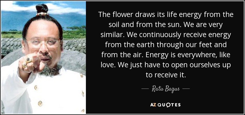 The flower draws its life energy from the soil and from the sun. We are very similar. We continuously receive energy from the earth through our feet and from the air. Energy is everywhere, like love. We just have to open ourselves up to receive it. - Ratu Bagus