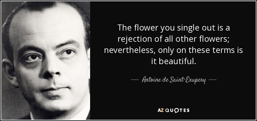 The flower you single out is a rejection of all other flowers; nevertheless, only on these terms is it beautiful. - Antoine de Saint-Exupery