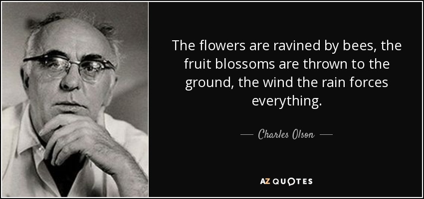 The flowers are ravined by bees, the fruit blossoms are thrown to the ground, the wind the rain forces everything. - Charles Olson