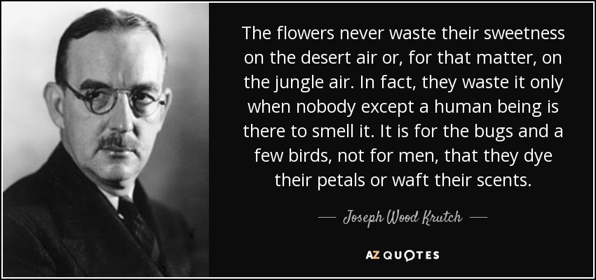 The flowers never waste their sweetness on the desert air or, for that matter, on the jungle air. In fact, they waste it only when nobody except a human being is there to smell it. It is for the bugs and a few birds, not for men, that they dye their petals or waft their scents. - Joseph Wood Krutch