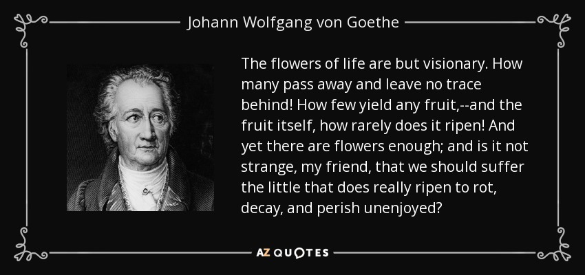 The flowers of life are but visionary. How many pass away and leave no trace behind! How few yield any fruit,--and the fruit itself, how rarely does it ripen! And yet there are flowers enough; and is it not strange, my friend, that we should suffer the little that does really ripen to rot, decay, and perish unenjoyed? - Johann Wolfgang von Goethe