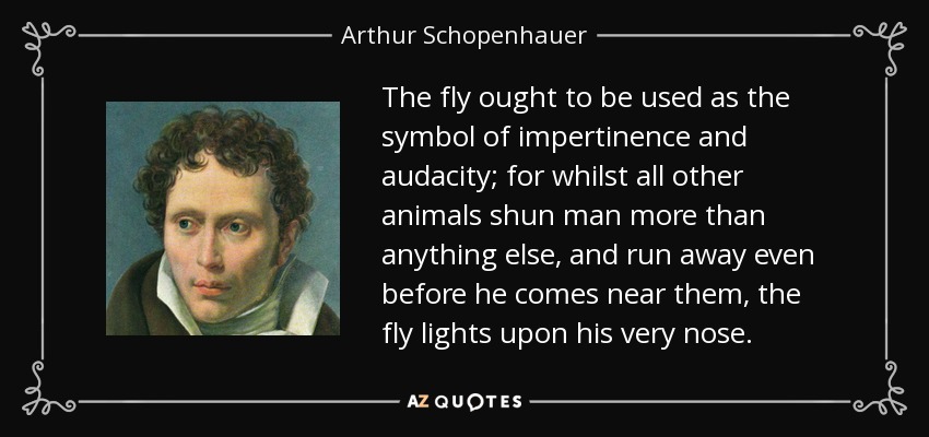 The fly ought to be used as the symbol of impertinence and audacity; for whilst all other animals shun man more than anything else, and run away even before he comes near them, the fly lights upon his very nose. - Arthur Schopenhauer
