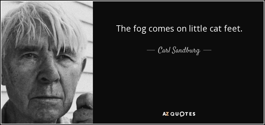 The fog comes on little cat feet. - Carl Sandburg