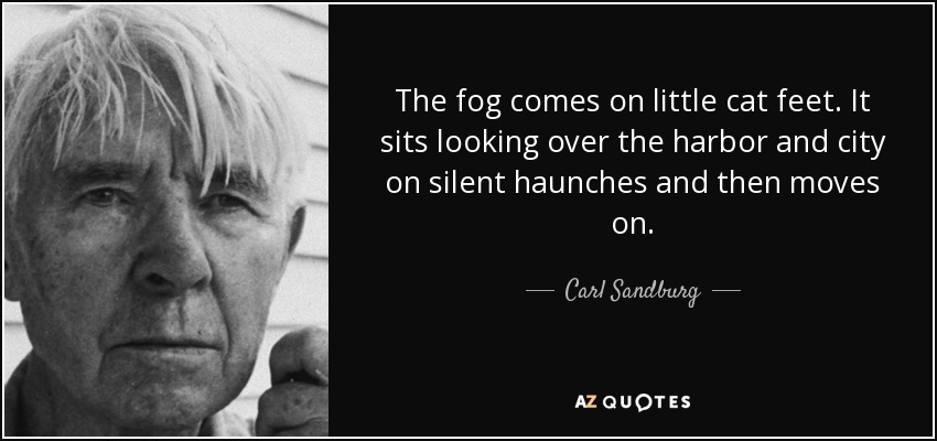 The fog comes on little cat feet. It sits looking over the harbor 	and city on silent haunches and then moves on. - Carl Sandburg