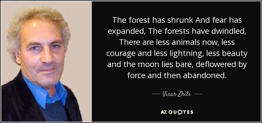 The forest has shrunk And fear has expanded, The forests have dwindled, There are less animals now, less courage and less lightning, less beauty and the moon lies bare, deflowered by force and then abandoned. - Visar Zhiti