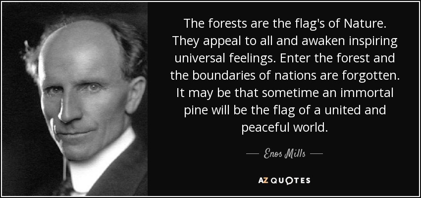 The forests are the flag's of Nature. They appeal to all and awaken inspiring universal feelings. Enter the forest and the boundaries of nations are forgotten. It may be that sometime an immortal pine will be the flag of a united and peaceful world. - Enos Mills