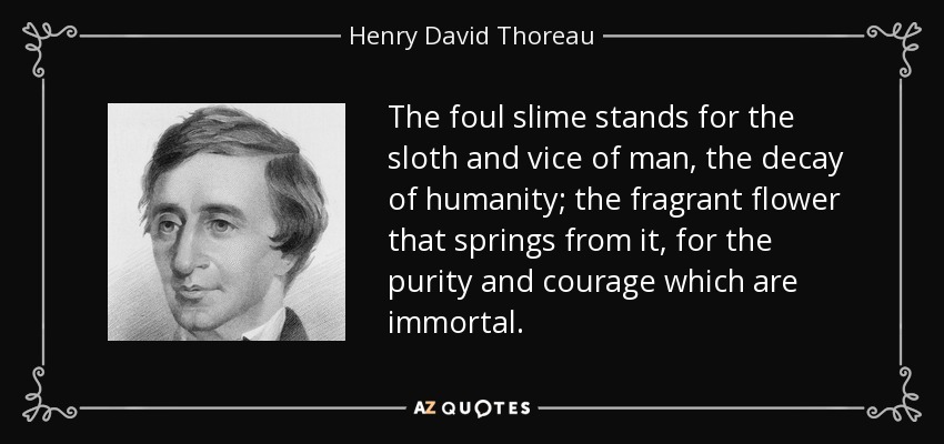The foul slime stands for the sloth and vice of man, the decay of humanity; the fragrant flower that springs from it, for the purity and courage which are immortal. - Henry David Thoreau