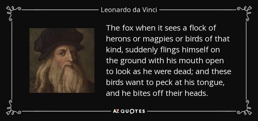The fox when it sees a flock of herons or magpies or birds of that kind, suddenly flings himself on the ground with his mouth open to look as he were dead; and these birds want to peck at his tongue, and he bites off their heads. - Leonardo da Vinci