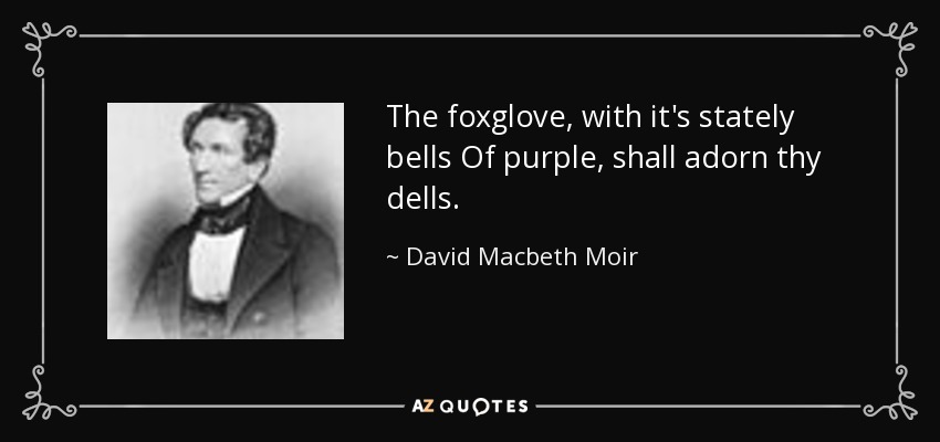 The foxglove, with it's stately bells Of purple, shall adorn thy dells. - David Macbeth Moir