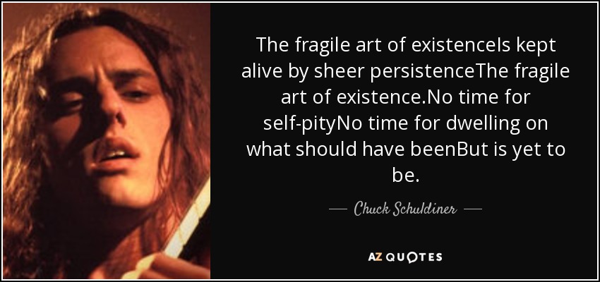 The fragile art of existenceIs kept alive by sheer persistenceThe fragile art of existence.No time for self-pityNo time for dwelling on what should have beenBut is yet to be. - Chuck Schuldiner