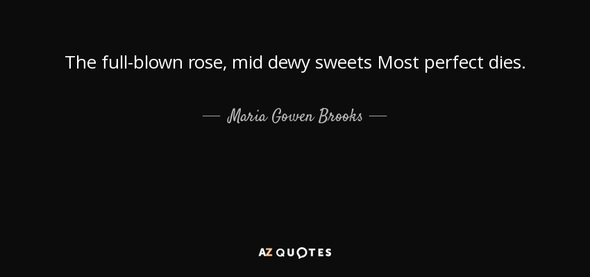 The full-blown rose, mid dewy sweets Most perfect dies. - Maria Gowen Brooks