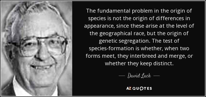 The fundamental problem in the origin of species is not the origin of differences in appearance, since these arise at the level of the geographical race, but the origin of genetic segregation. The test of species-formation is whether, when two forms meet, they interbreed and merge, or whether they keep distinct. - David Lack