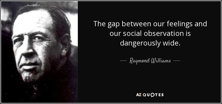 The gap between our feelings and our social observation is dangerously wide. - Raymond Williams