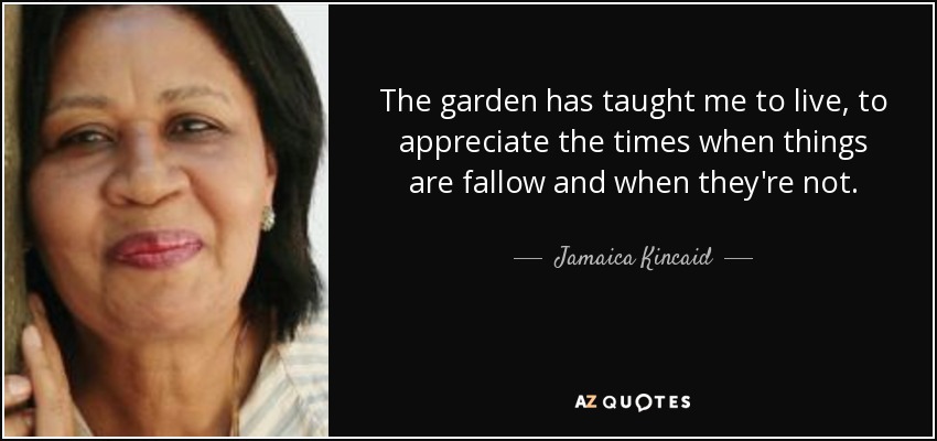 The garden has taught me to live, to appreciate the times when things are fallow and when they're not. - Jamaica Kincaid