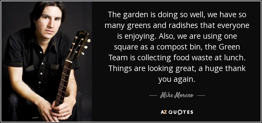The garden is doing so well, we have so many greens and radishes that everyone is enjoying. Also, we are using one square as a compost bin, the Green Team is collecting food waste at lunch. Things are looking great, a huge thank you again. - Mike Moreno