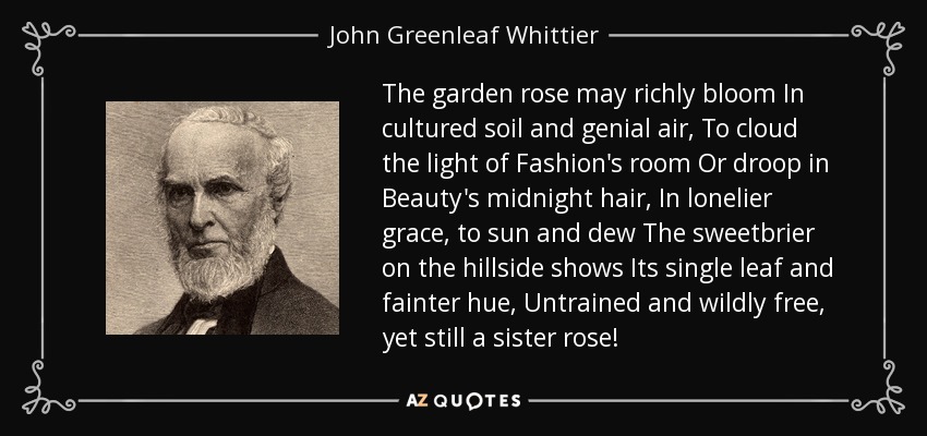 The garden rose may richly bloom In cultured soil and genial air, To cloud the light of Fashion's room Or droop in Beauty's midnight hair, In lonelier grace, to sun and dew The sweetbrier on the hillside shows Its single leaf and fainter hue, Untrained and wildly free, yet still a sister rose! - John Greenleaf Whittier