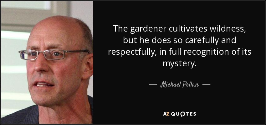 The gardener cultivates wildness, but he does so carefully and respectfully, in full recognition of its mystery. - Michael Pollan