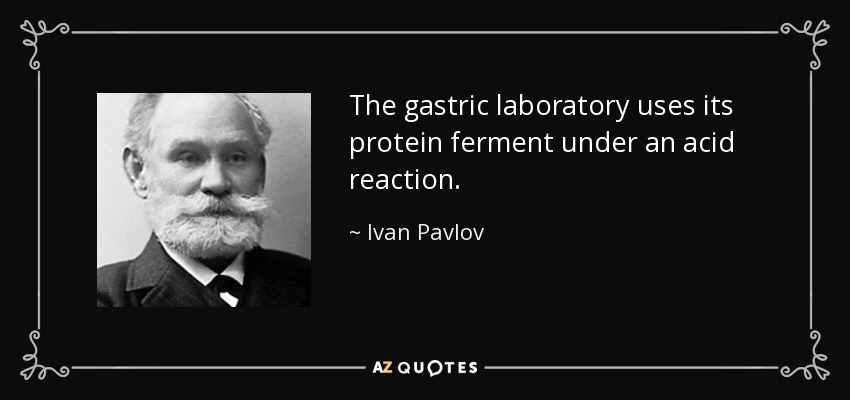 The gastric laboratory uses its protein ferment under an acid reaction. - Ivan Pavlov