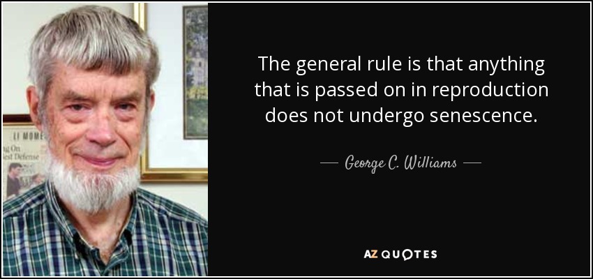 The general rule is that anything that is passed on in reproduction does not undergo senescence. - George C. Williams