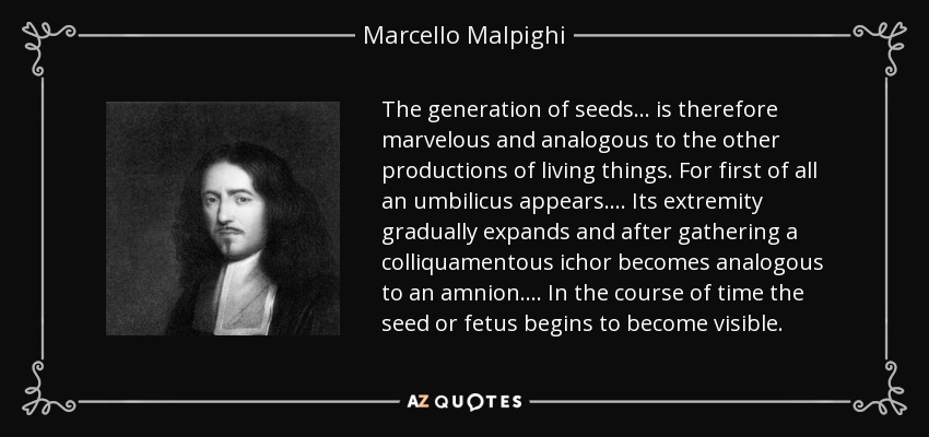 The generation of seeds ... is therefore marvelous and analogous to the other productions of living things. For first of all an umbilicus appears. ... Its extremity gradually expands and after gathering a colliquamentous ichor becomes analogous to an amnion. ... In the course of time the seed or fetus begins to become visible. - Marcello Malpighi