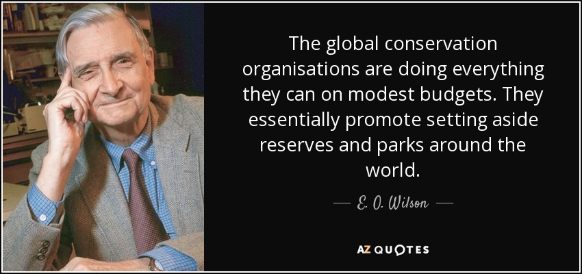 The global conservation organisations are doing everything they can on modest budgets. They essentially promote setting aside reserves and parks around the world. - E. O. Wilson