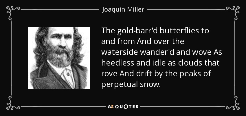 The gold-barr'd butterflies to and from And over the waterside wander'd and wove As heedless and idle as clouds that rove And drift by the peaks of perpetual snow. - Joaquin Miller